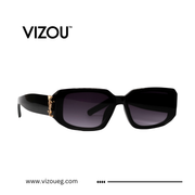 Black sunglasses with gold accents on a white background, featuring the VIZOU brand.