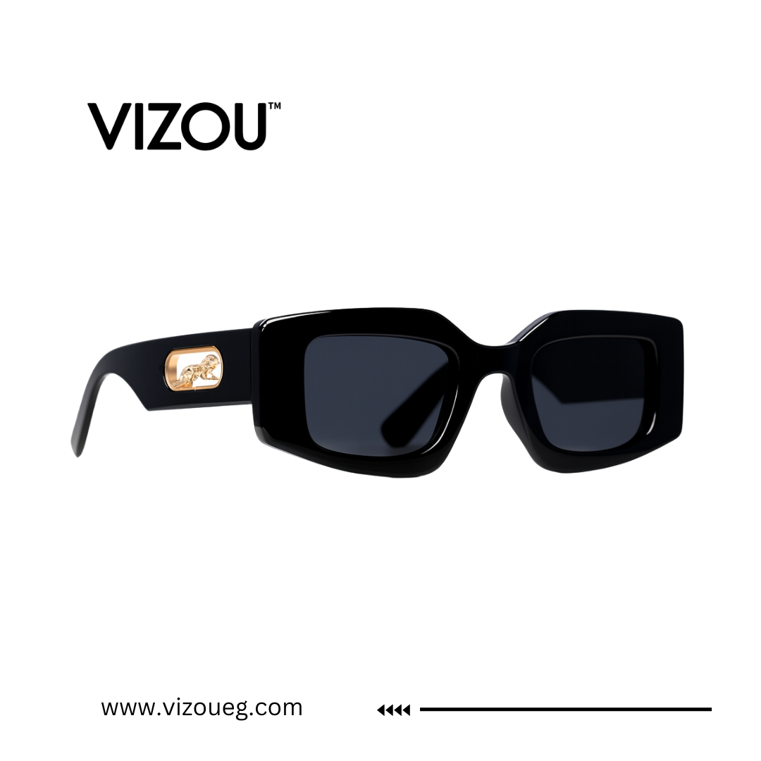 Black sunglasses with a VIZOU logo on a white background